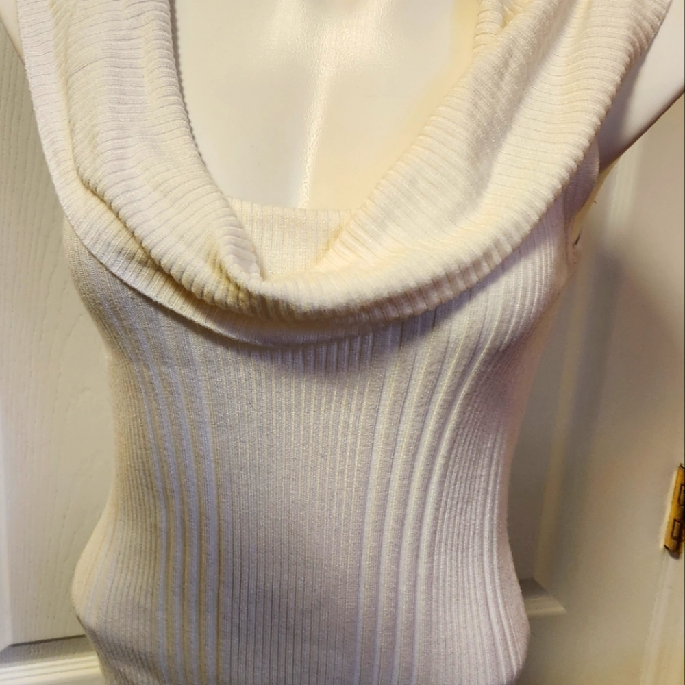 Women's sleeveless size medium sweater